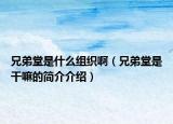 兄弟堂是什么組織?。ㄐ值芴檬歉陕锏暮喗榻榻B）