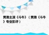 黃渤主演《斗牛》（黃渤《斗?！穼I(yè)影評）