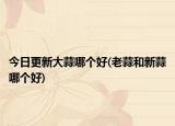 今日更新大蒜哪個好(老蒜和新蒜哪個好)