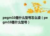 pegm10是什么型號怎么讀（pegm10是什么型號）