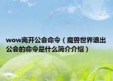 wow離開(kāi)公會(huì)命令（魔獸世界退出公會(huì)的命令是什么簡(jiǎn)介介紹）