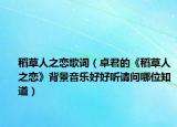 稻草人之戀歌詞（卓君的《稻草人之戀》背景音樂(lè)好好聽(tīng)請(qǐng)問(wèn)哪位知道）