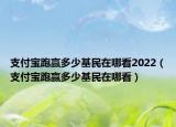 支付寶跑贏多少基民在哪看2022（支付寶跑贏多少基民在哪看）