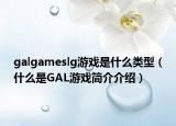 galgameslg游戲是什么類型（什么是GAL游戲簡介介紹）