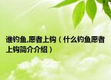 誰釣魚,愿者上鉤（什么釣魚愿者上鉤簡介介紹）