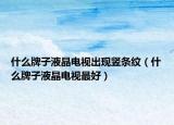 什么牌子液晶電視出現(xiàn)豎條紋（什么牌子液晶電視最好）