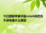 今日更新蘋果平板mini4突然充不進(jìn)電是什么原因