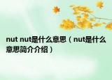 nut nut是什么意思（nut是什么意思簡(jiǎn)介介紹）