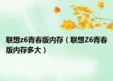 聯(lián)想z6青春版內(nèi)存（聯(lián)想Z6青春版內(nèi)存多大）