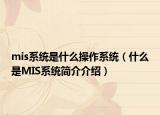 mis系統(tǒng)是什么操作系統(tǒng)（什么是MIS系統(tǒng)簡介介紹）