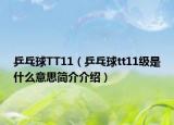 乒乓球TT11（乒乓球tt11級(jí)是什么意思簡介介紹）