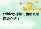 tαble怎樣讀（駘怎么讀簡(jiǎn)介介紹）