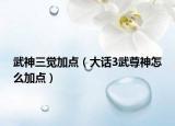 武神三覺加點(diǎn)（大話3武尊神怎么加點(diǎn)）