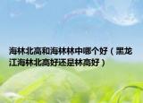 海林北高和海林林中哪個好（黑龍江海林北高好還是林高好）