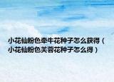 小花仙粉色牽?；ǚN子怎么獲得（小花仙粉色芙蓉花種子怎么得）