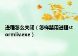 進程怎么關閉（怎樣禁用進程stormliv.exe）