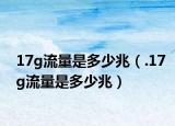 17g流量是多少兆（.17g流量是多少兆）