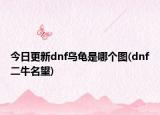 今日更新dnf烏龜是哪個圖(dnf二牛名望)