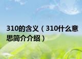 310的含義（310什么意思簡(jiǎn)介介紹）