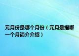 元月份是哪個月份（元月是指哪一個月簡介介紹）