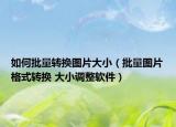 如何批量轉(zhuǎn)換圖片大小（批量圖片格式轉(zhuǎn)換 大小調(diào)整軟件）