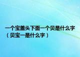 一個(gè)寶蓋頭下面一個(gè)貝是什么字（貝寶一是什么字）