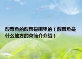 酸菜魚的酸菜是哪里的（酸菜魚是什么地方的菜簡介介紹）