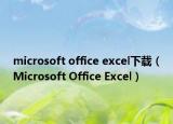 microsoft office excel下載（Microsoft Office Excel）