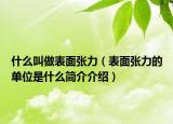 什么叫做表面張力（表面張力的單位是什么簡(jiǎn)介介紹）