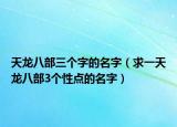 天龍八部三個(gè)字的名字（求一天龍八部3個(gè)性點(diǎn)的名字）