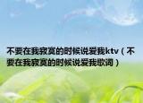 不要在我寂寞的時候說愛我ktv（不要在我寂寞的時候說愛我歌詞）