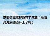 渤海灣海底隧道開工日期（渤海灣海底隧道開工了嗎）