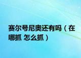 賽爾號(hào)尼奧還有嗎（在哪抓 怎么抓）