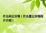 什么叫公分母（什么是公分母簡(jiǎn)介介紹）