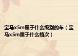 寶馬x5m屬于什么級(jí)別的車（寶馬x5m屬于什么檔次）