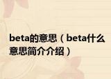 beta的意思（beta什么意思簡(jiǎn)介介紹）