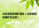 山東省田莊煤礦地址（山東省田莊煤礦怎么樣）