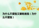 為什么不愛我又要耗著我（為什么不愛我）