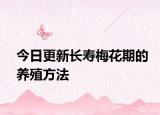 今日更新長(zhǎng)壽梅花期的養(yǎng)殖方法