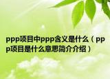 ppp項(xiàng)目中ppp含義是什么（ppp項(xiàng)目是什么意思簡(jiǎn)介介紹）