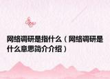 網(wǎng)絡(luò)調(diào)研是指什么（網(wǎng)絡(luò)調(diào)研是什么意思簡介介紹）