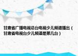 甘肅省廣播電視總臺電視少兒頻道播出（甘肅省電視臺少兒頻道是第幾臺）