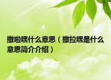 撒啦嘿什么意思（撒拉嘿是什么意思簡介介紹）
