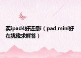 買ipad4好還是i（pad mini好 在猶豫求解答）