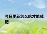 今日更新怎么吃才能減肥