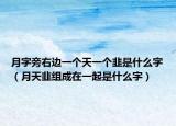 月字旁右邊一個天一個韭是什么字（月天韭組成在一起是什么字）