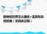 新神將世界怎么獵優(yōu)+孟獲和袁紹武魂（求具體過程）