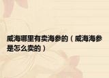 威海哪里有賣海參的（威海海參是怎么賣的）