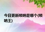 今日更新嗩吶是哪個(gè)(嗩吶王)