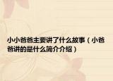 小小爸爸主要講了什么故事（小爸爸講的是什么簡(jiǎn)介介紹）
